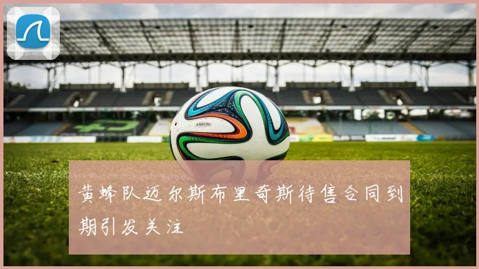 黄蜂队迈尔斯布里奇斯待售合同到期引发关注