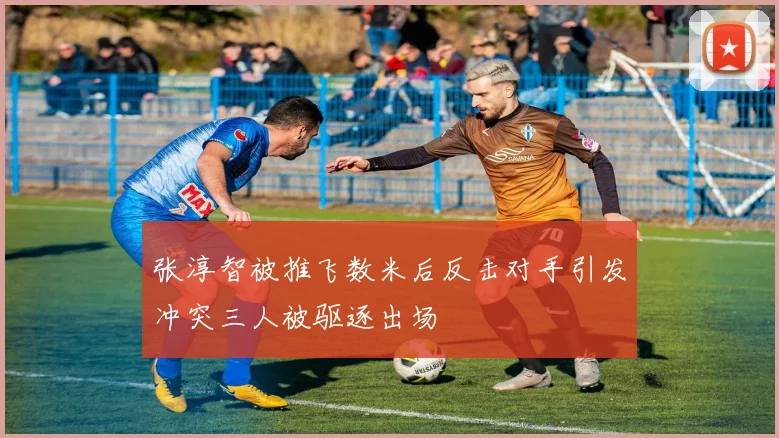 张淳智被推飞数米后反击对手引发冲突三人被驱逐出场