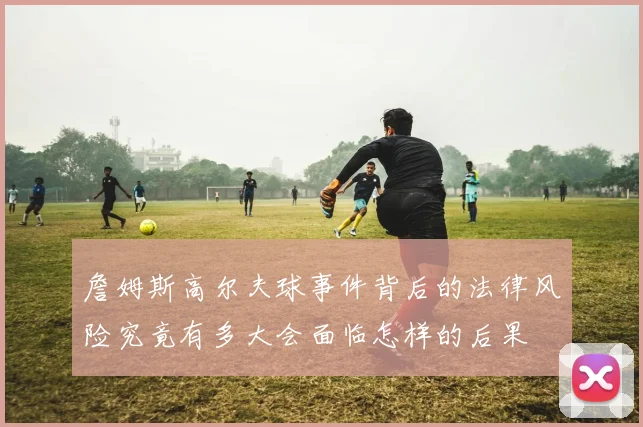詹姆斯高尔夫球事件背后的法律风险究竟有多大会面临怎样的后果